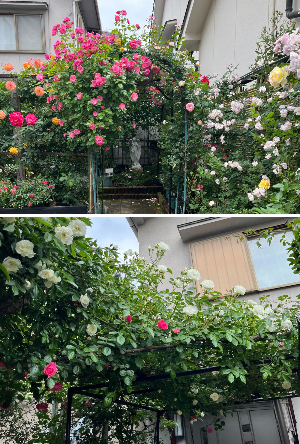 Petite Rose Garden～小さなばら園～